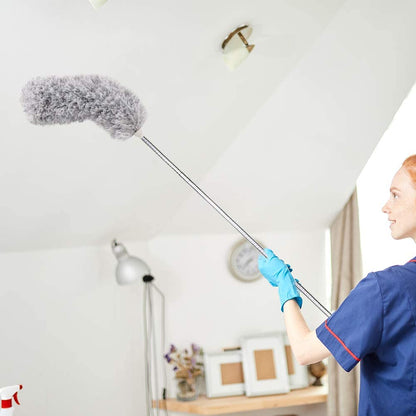 Microfiber Extendable Duster